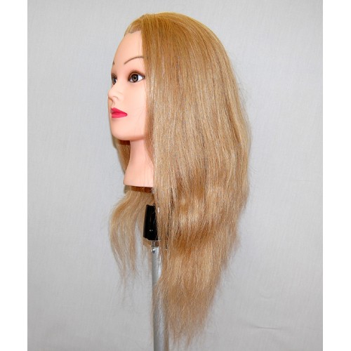 Bellrino 24 Cosmetology Mannequin Manikin Training Head With Human Hair  With Clamp Holder JEN C 